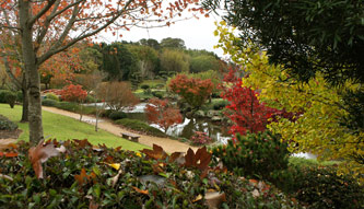 Toowoomba Japanese Gardens